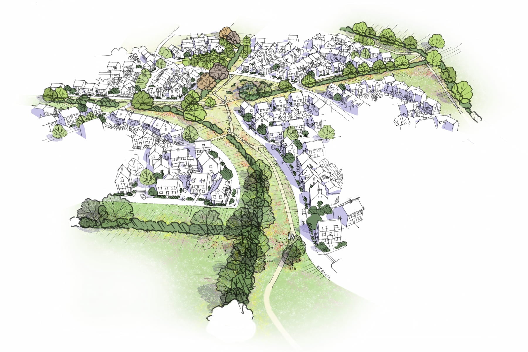 Woodspring illustration