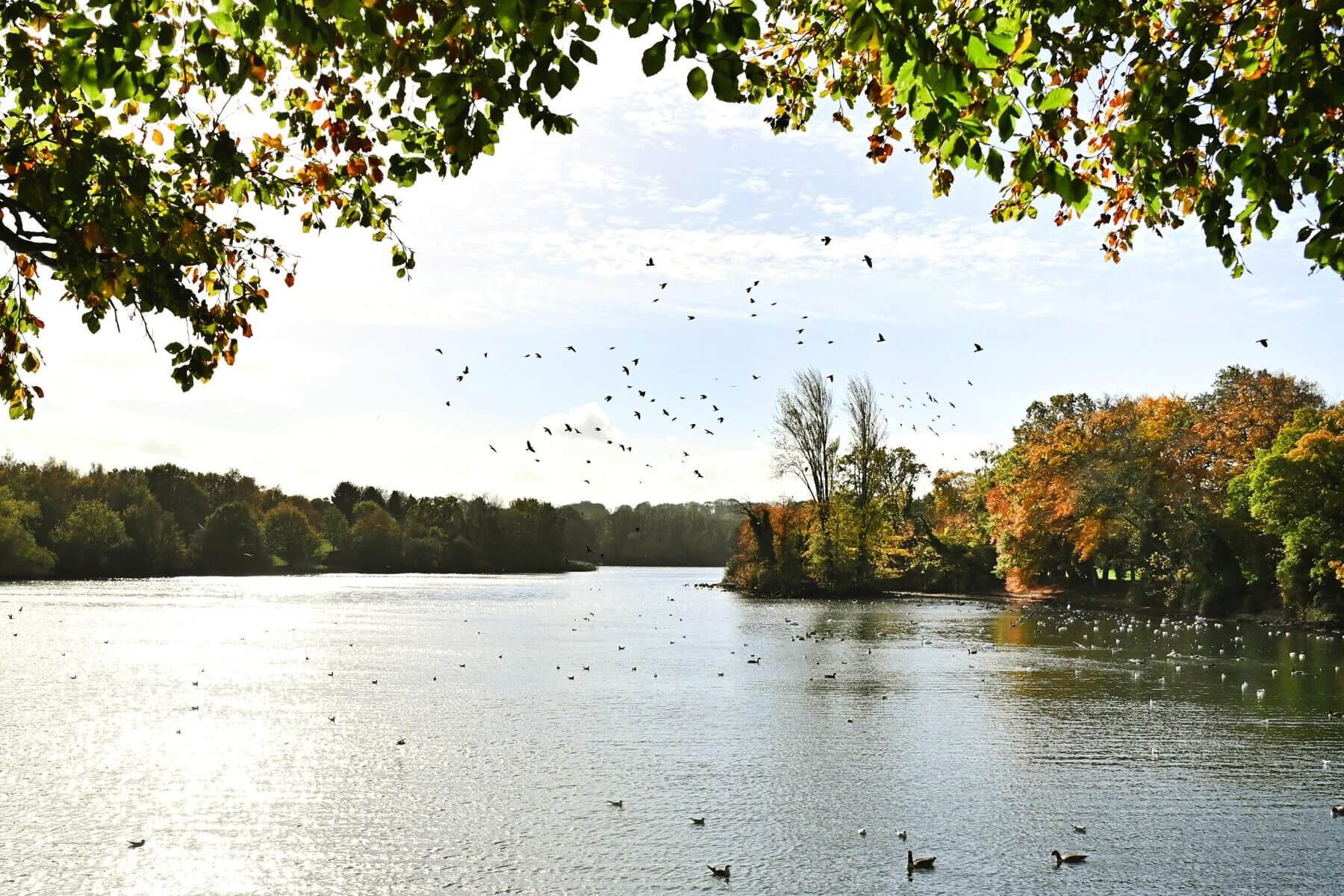 Coate Water Country Park