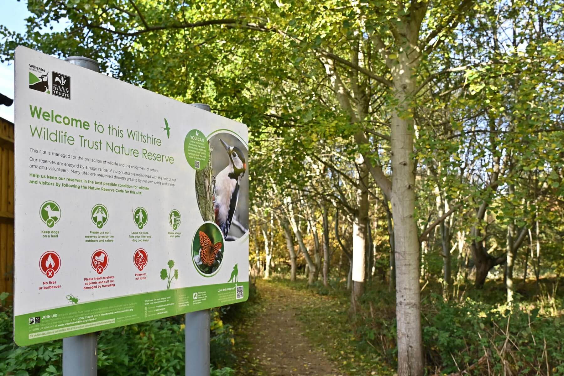 St Johns Community Woodland