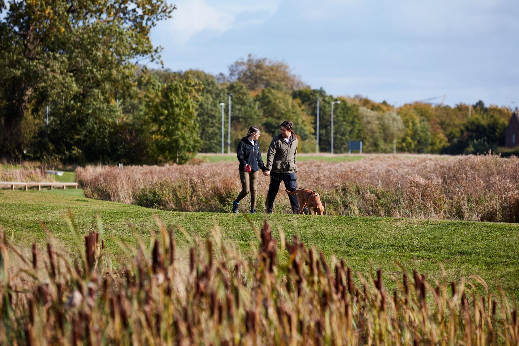 Couple walking their dog