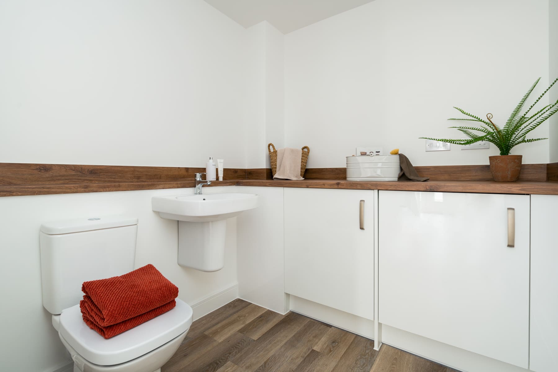 Toilet and loo and cupboards