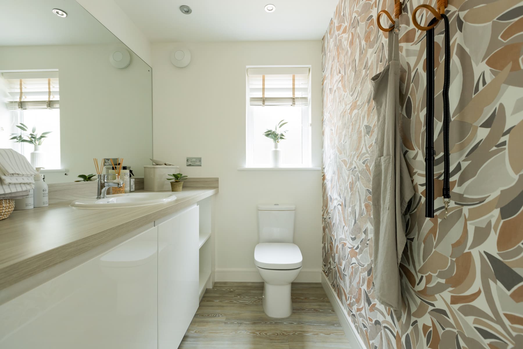 Downstairs toilet and sink