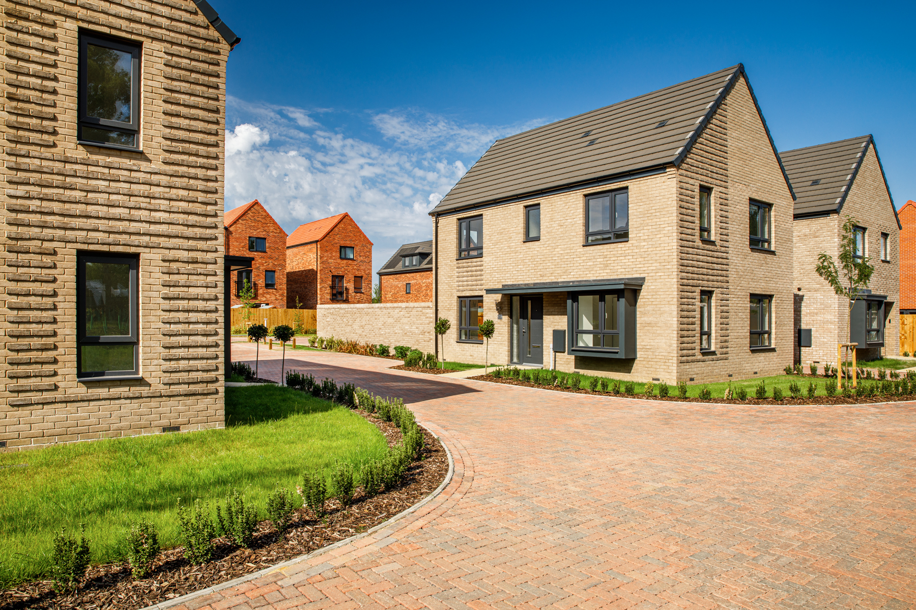The Aynesdale