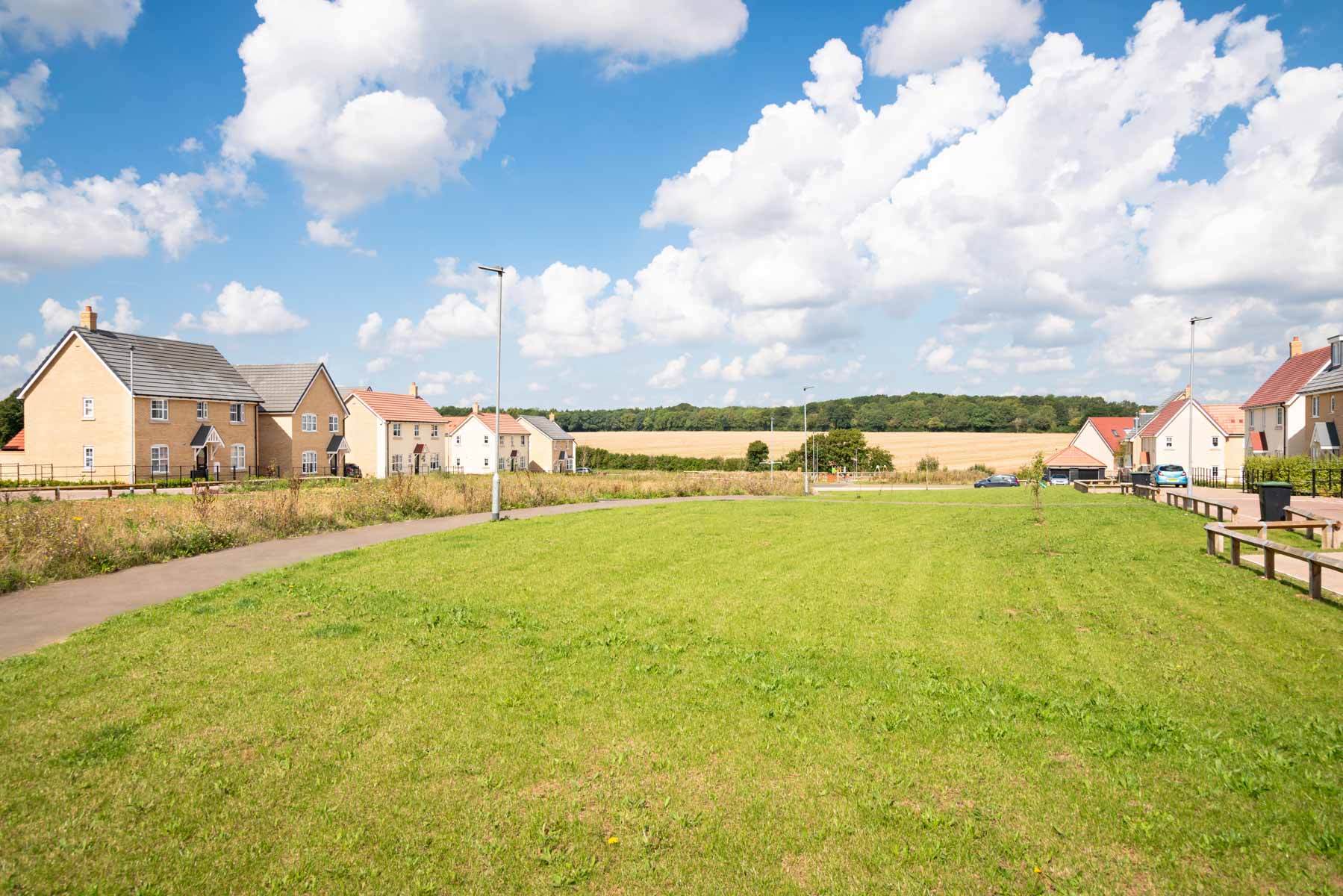 Green space with houses