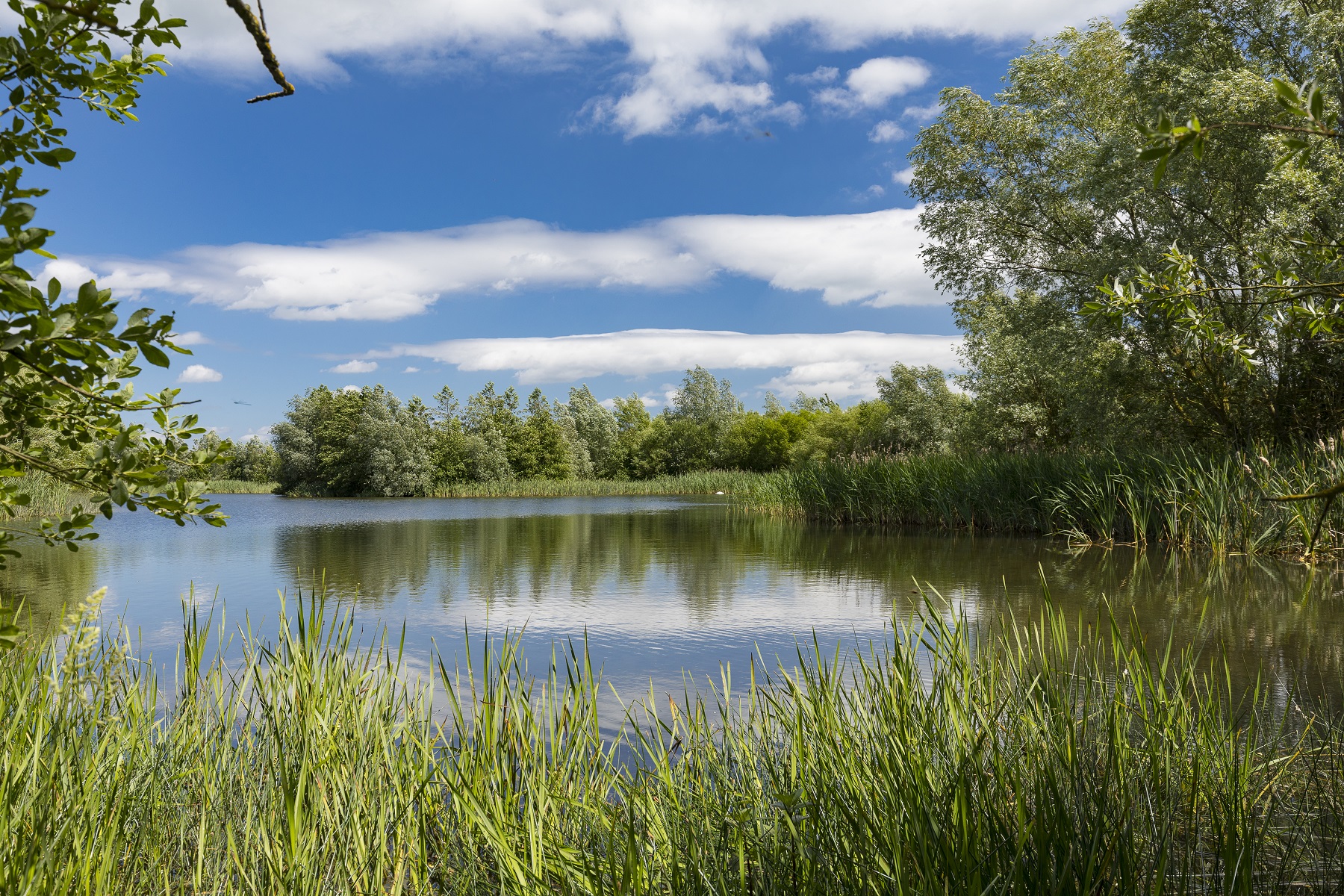 resized country park