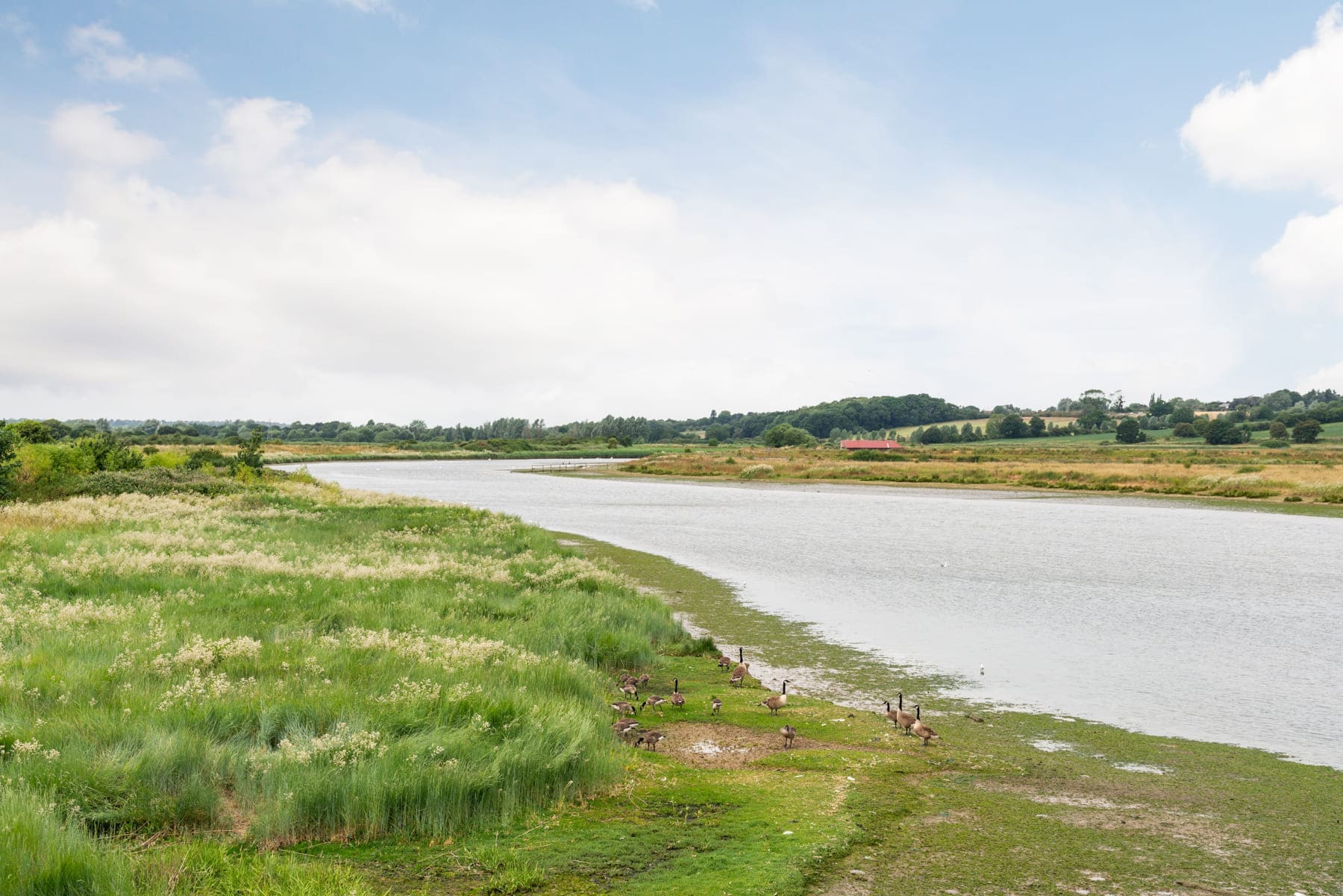 River Stour in the countryside