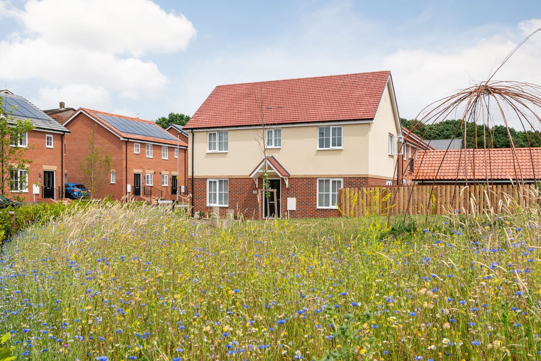 Wildflower in front of homes