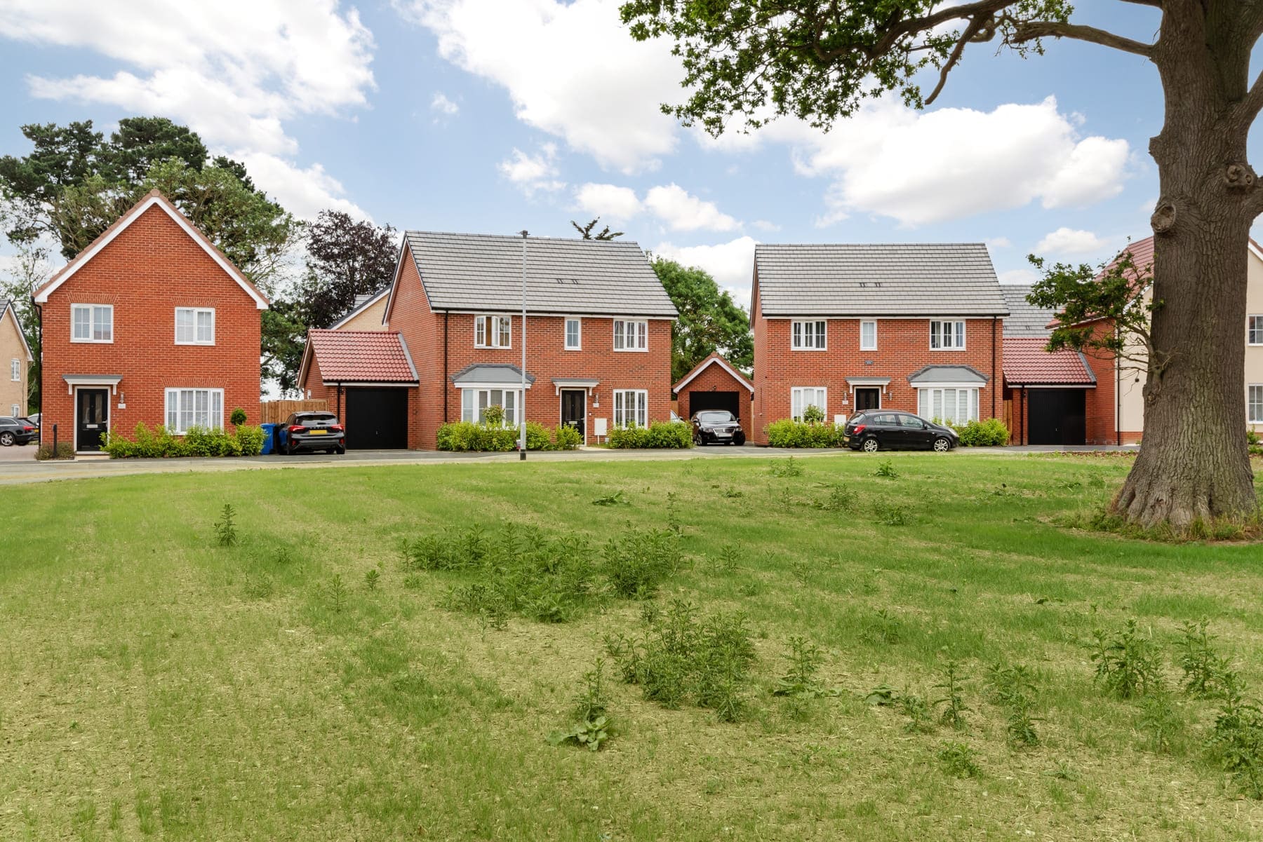 Public open space with tree