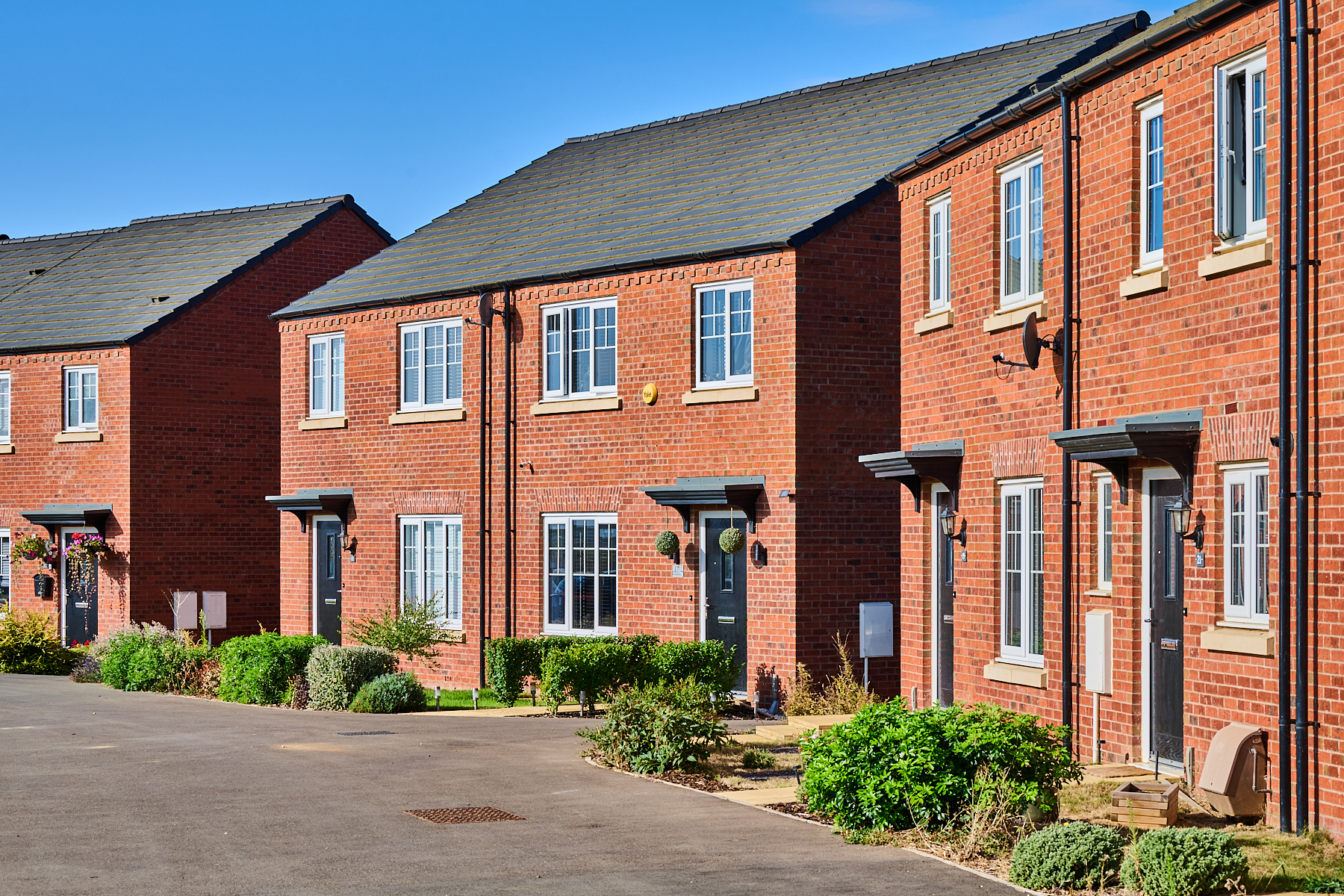 Newton Park at Handley Chase