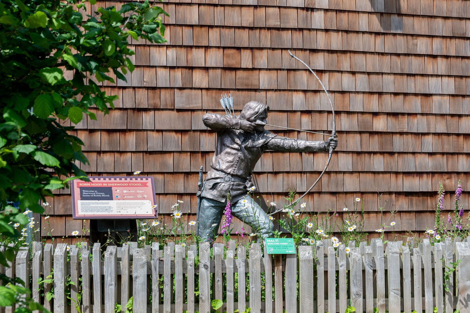 Robin Hood - Sherwood Forest