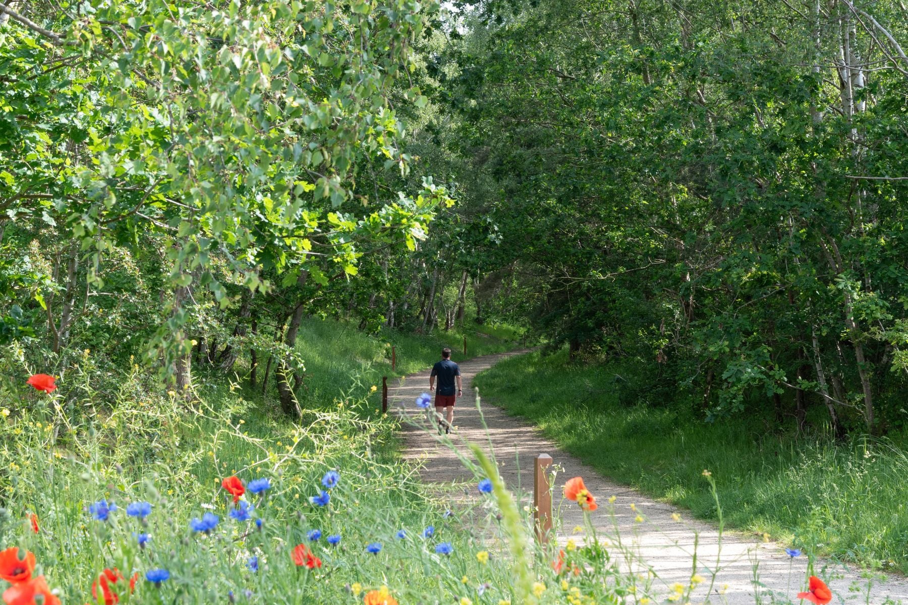 Nature Walk