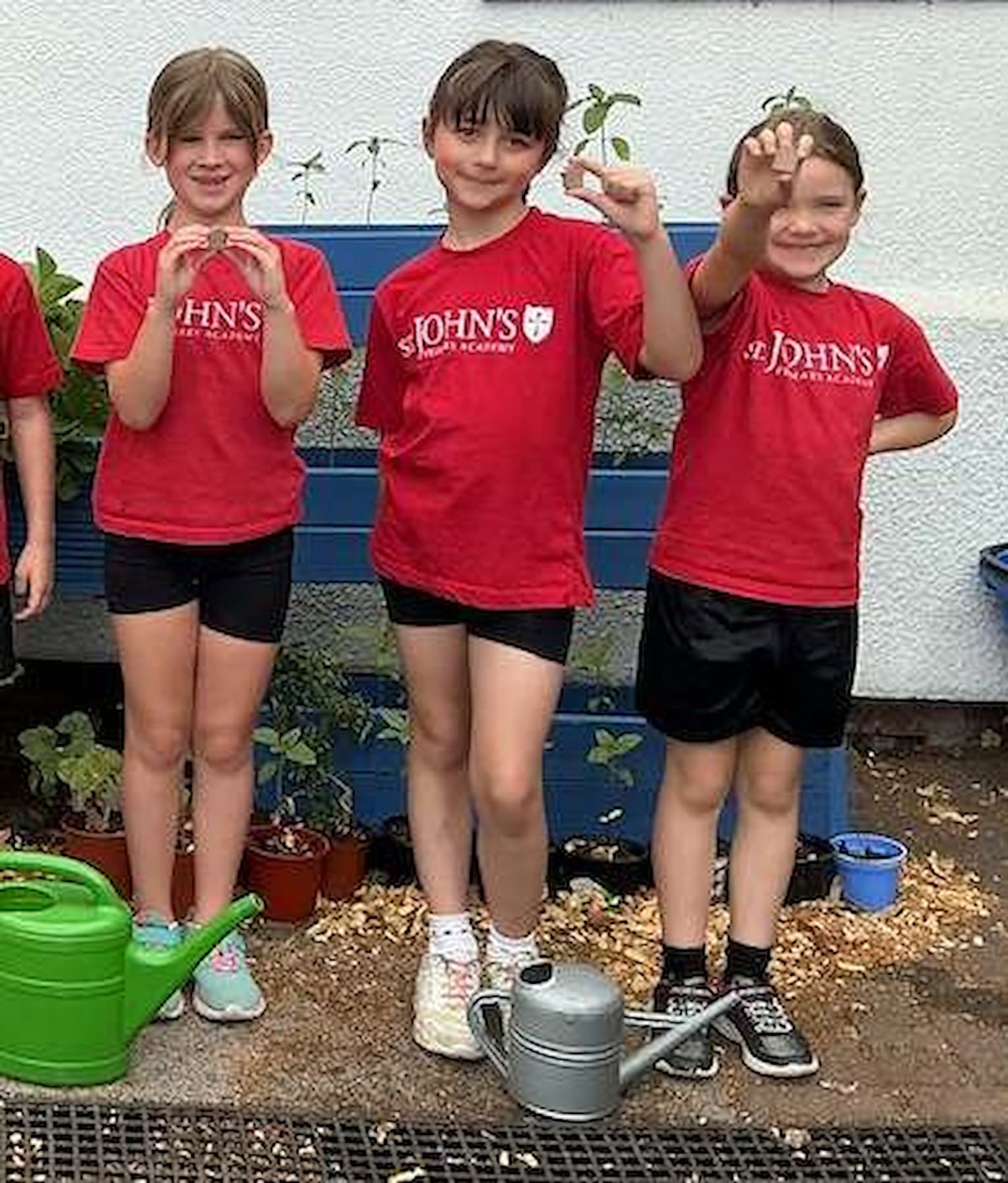 St John's Primary Academy - Seedhouse donation