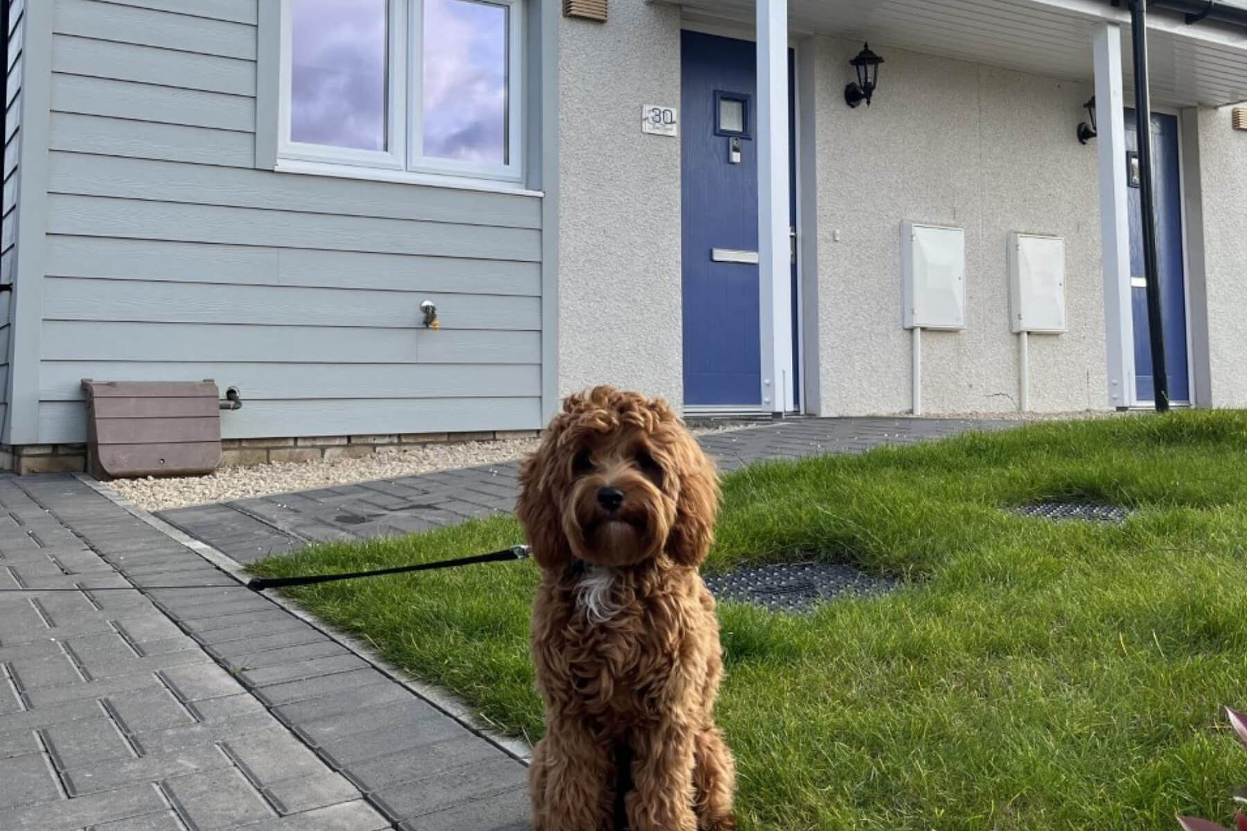 The Baxter customer testimonial at Calderwood