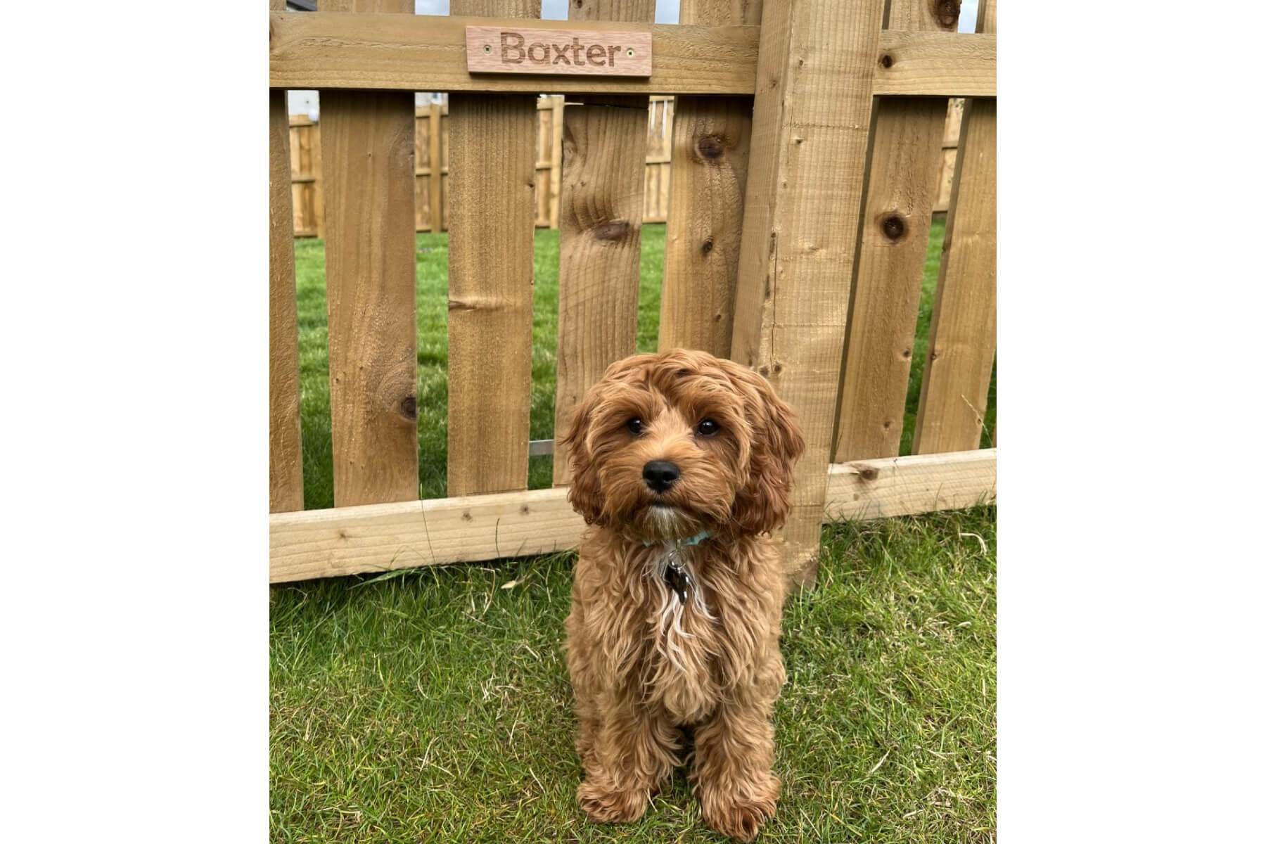 The Baxter customer testimonial at Calderwood