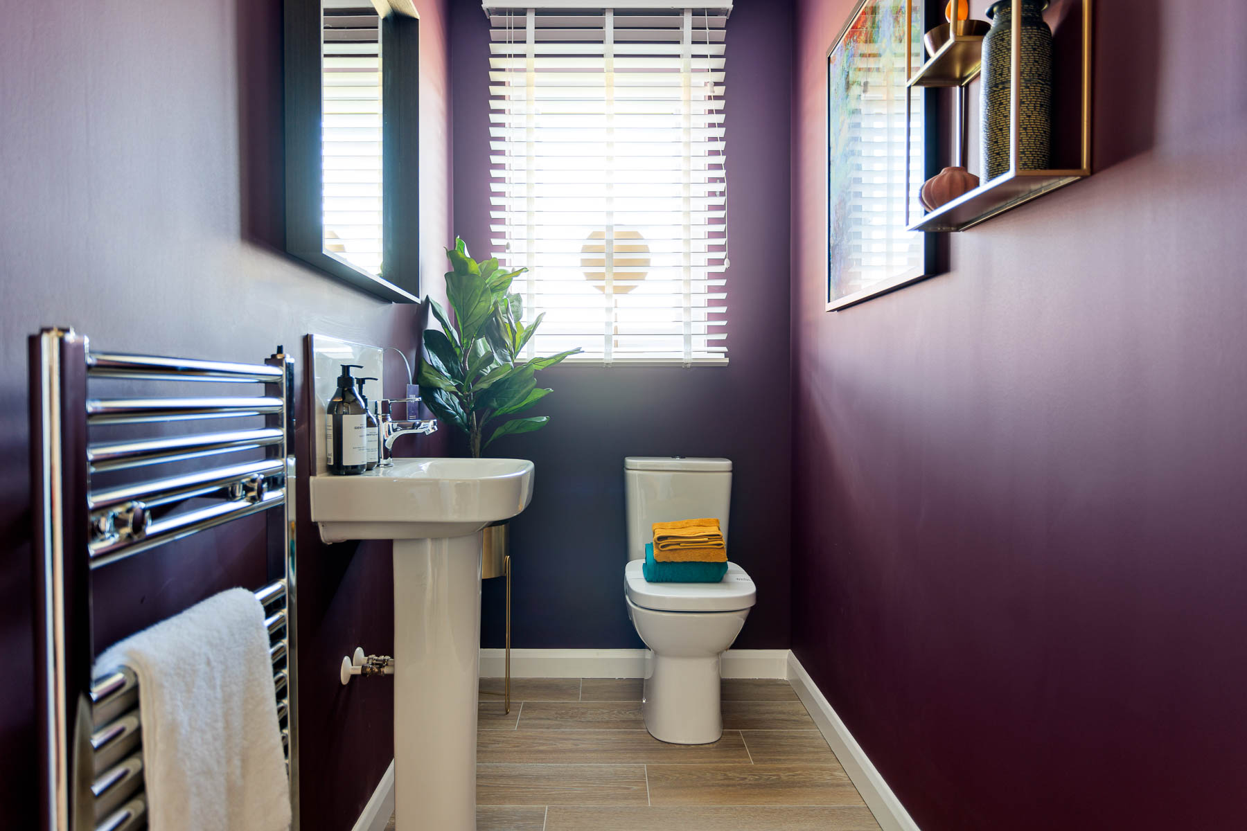 The Geddes downstairs toilet