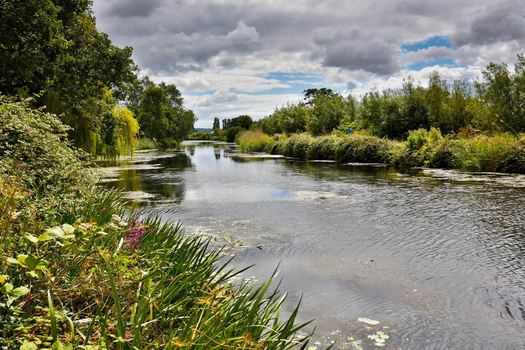 River Exe Country Park