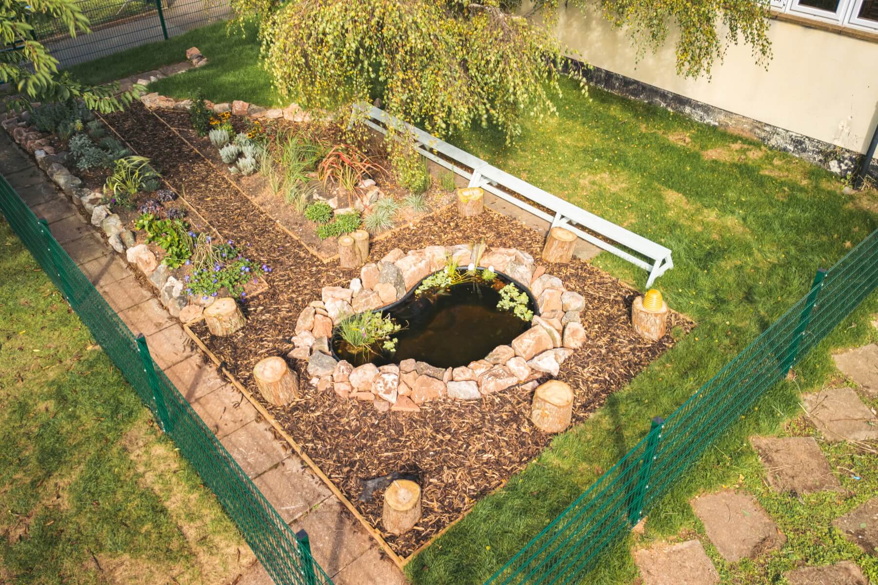 Watcombe Primary School pond
