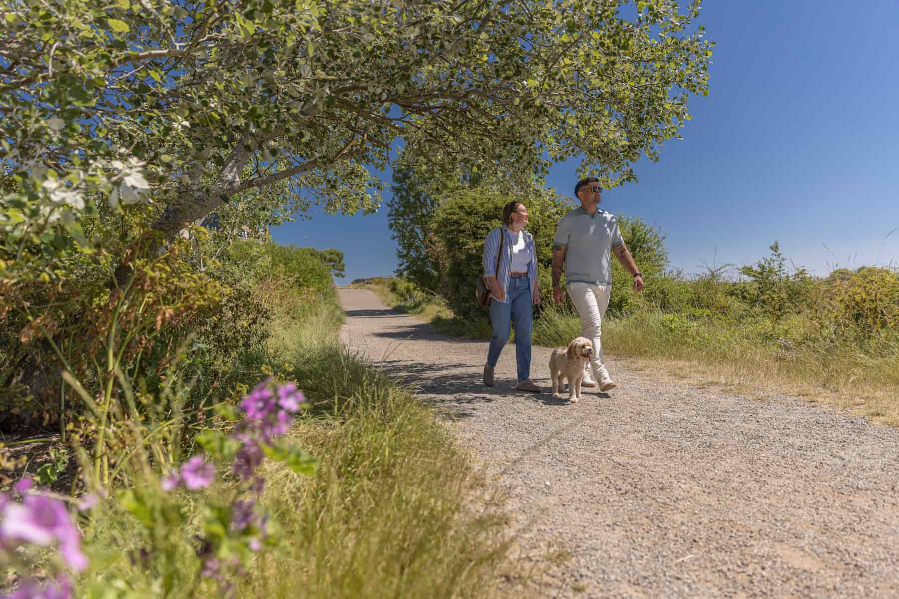 Nearby Nature Reserve, Gunners park, provides 5km of paths, a great place to escape the hustle and bustle and go for a coastal walk.