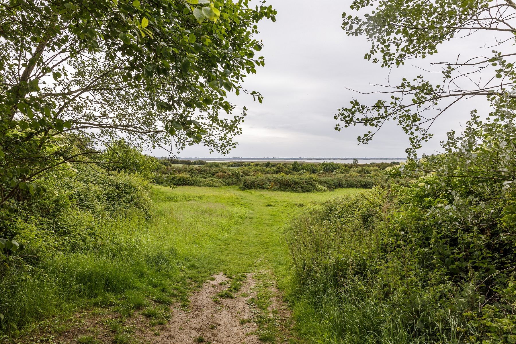 Countryside
