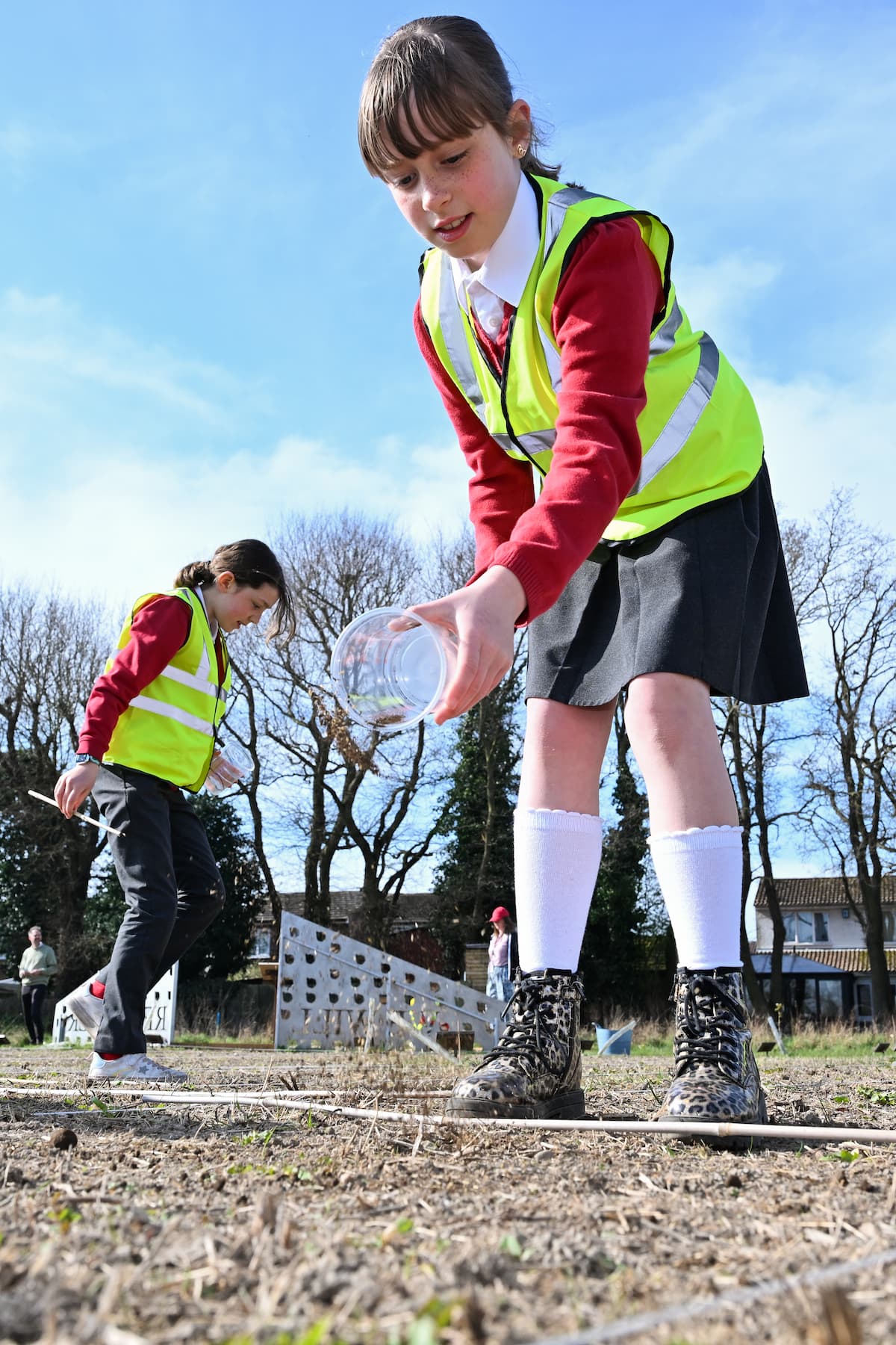 TWL_Wyvern_Place_Wildflowers