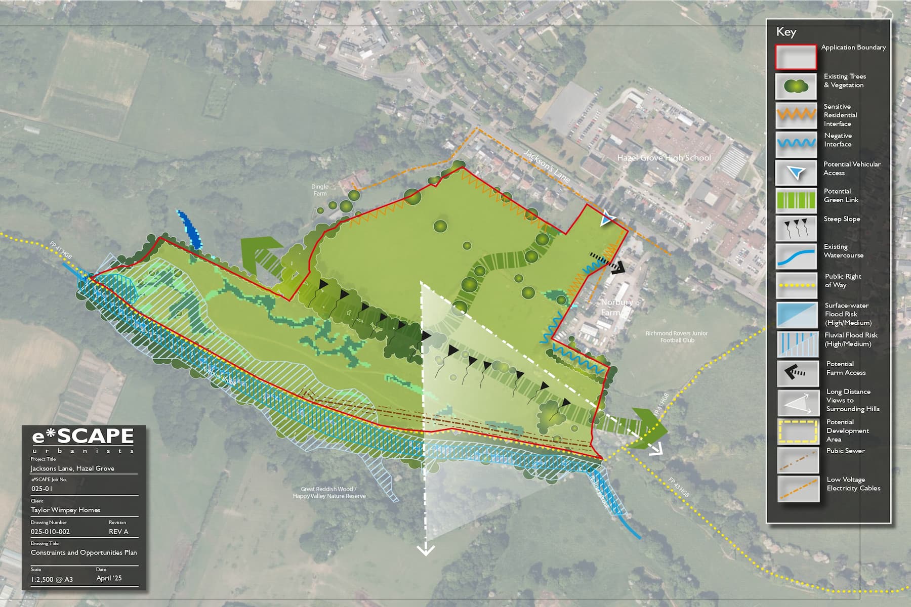 Constraints Opportunities plan