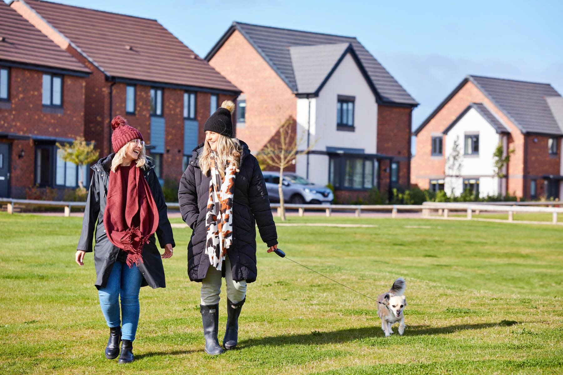 walk your dog in the open space 