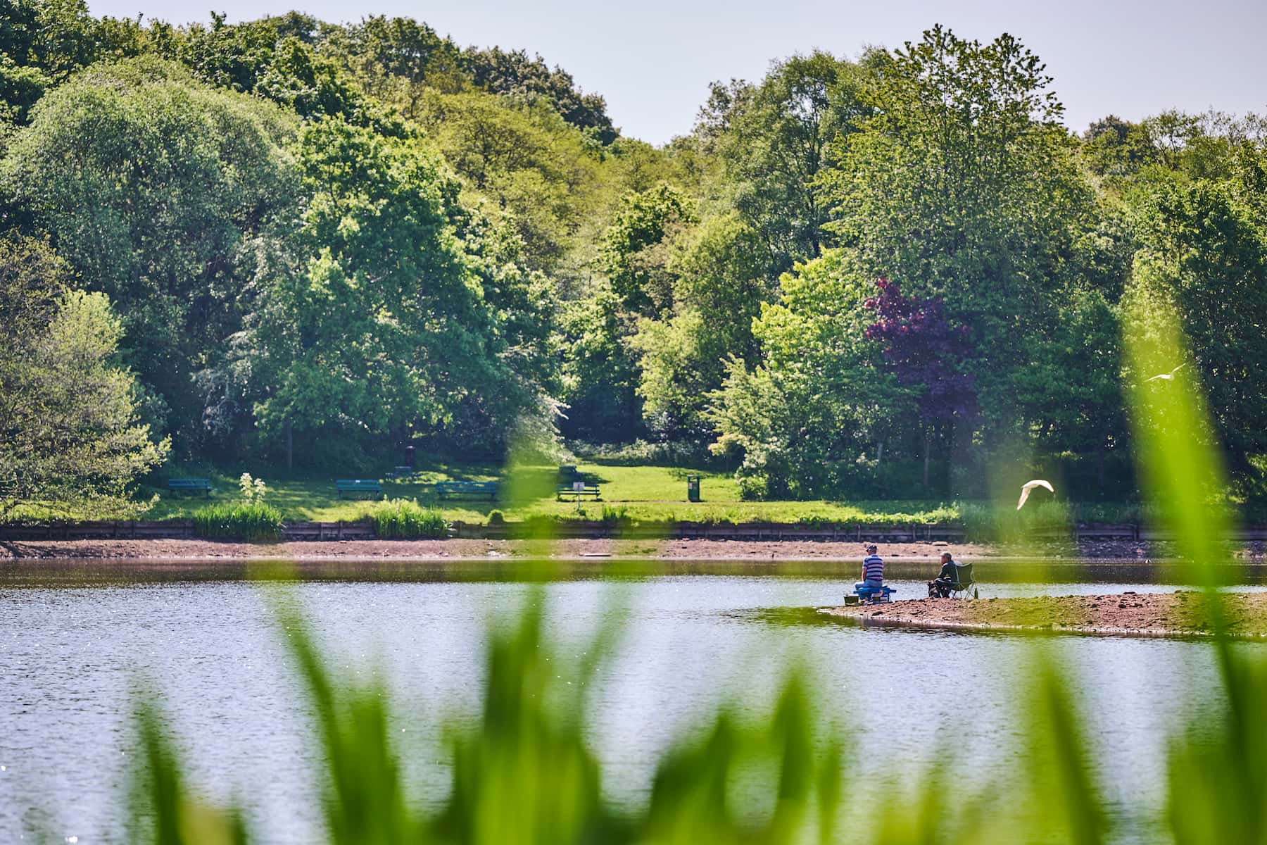 Yarrow Valley scenery