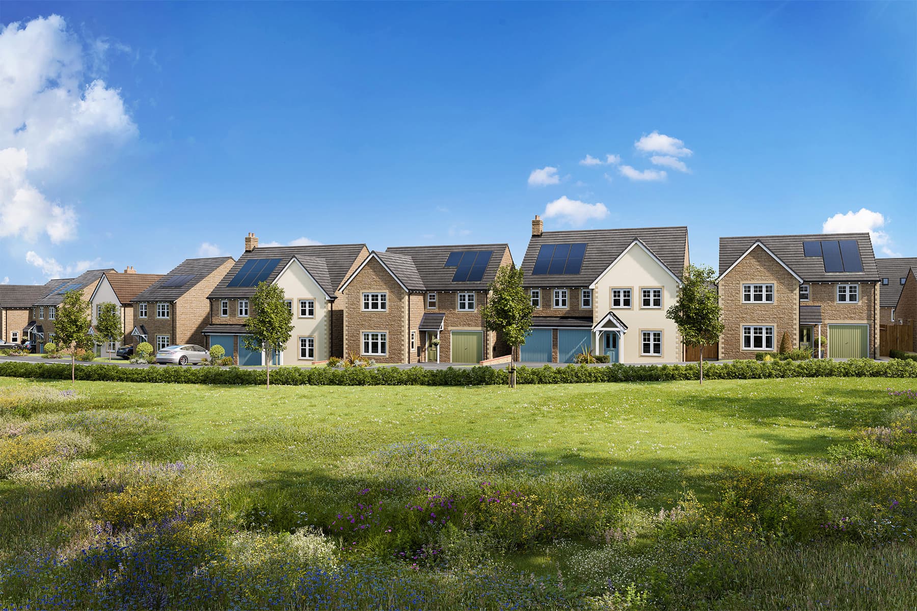 Our vision for Half Penny Meadows