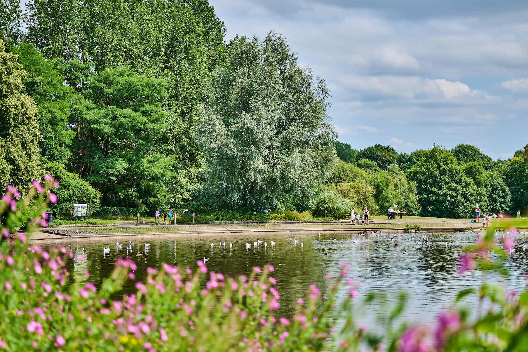 Enjoy the outdoors with a choice of country parks