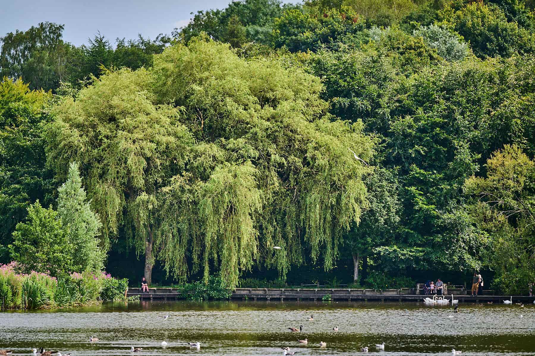 Moses Gate Country Park is just over a mile away