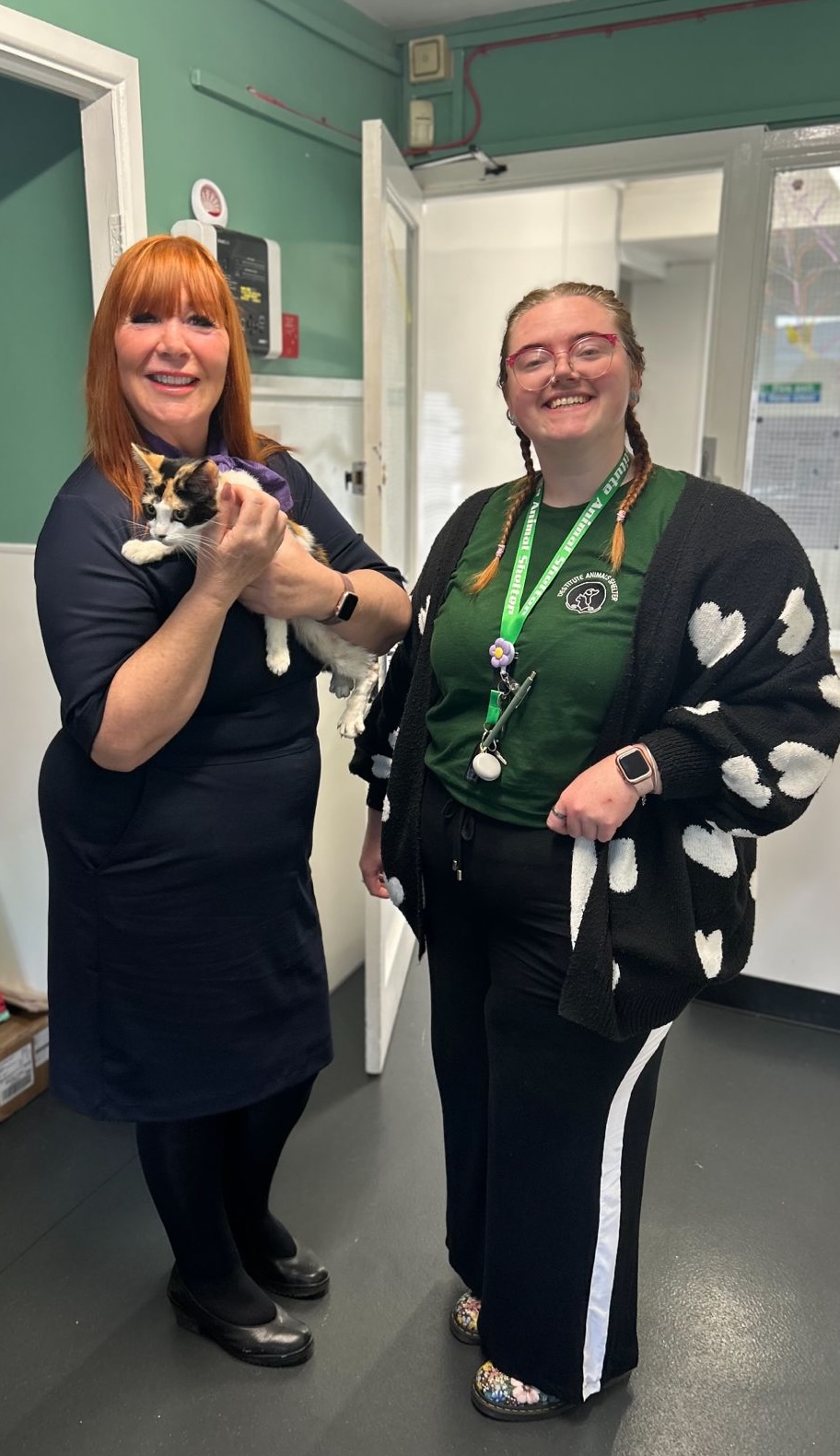 destitute animal shelter