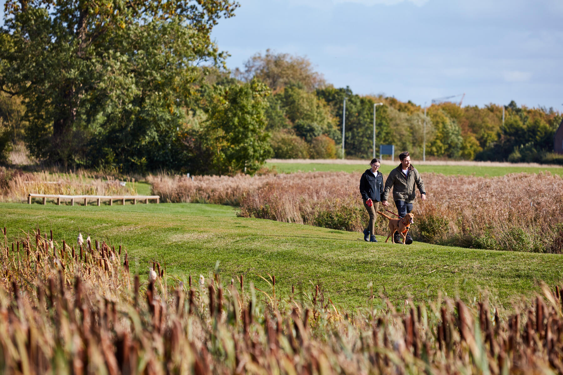 Surrounded by open green space, perfect for dog owners