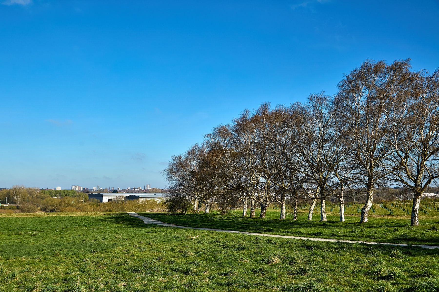 Imagine family walks at Whitley South Country Park