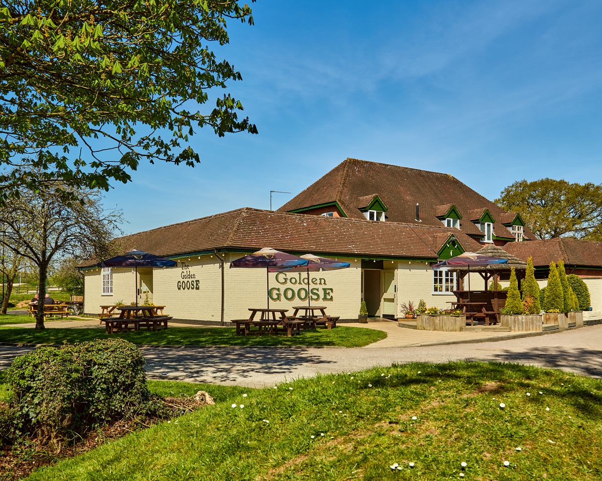 TW Mids Redditch Golden Goose Pub