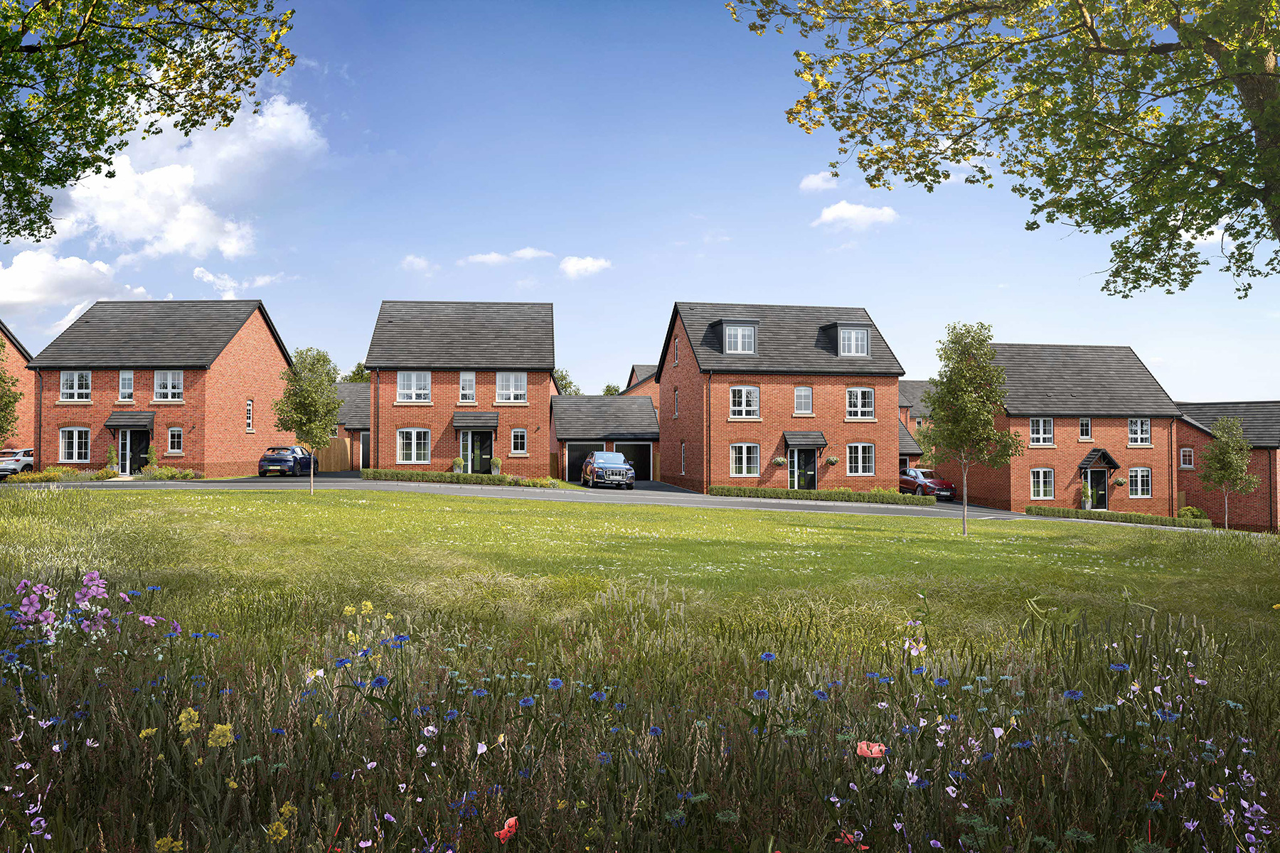 Meadow Rise