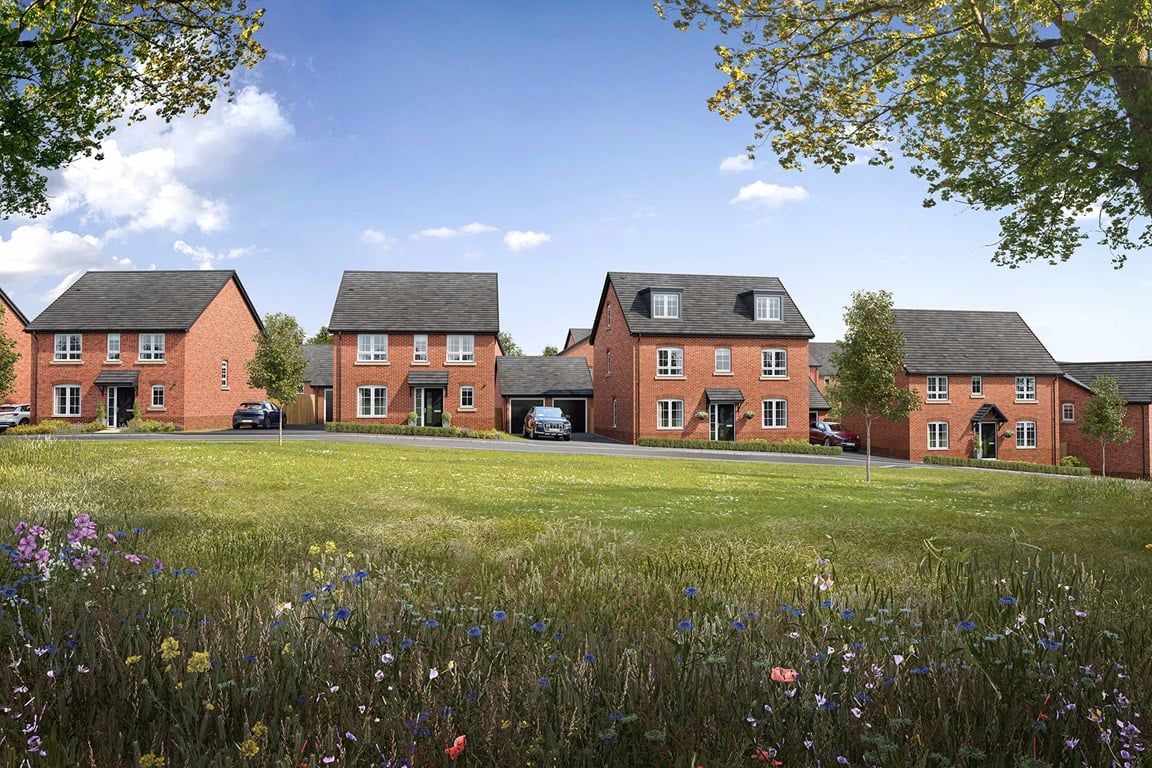 Welcome to Meadow Rise