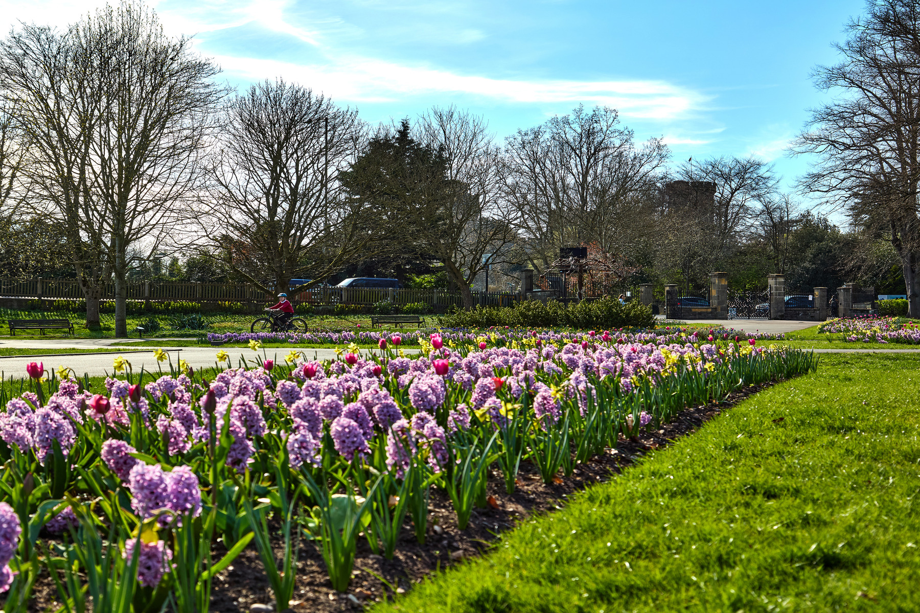 Book an appointment to speak to our sales executives