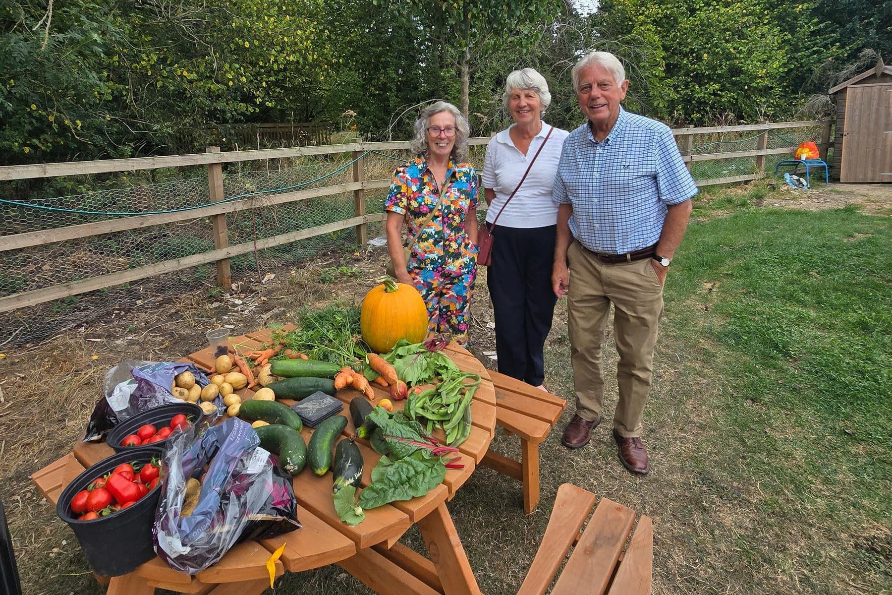 Allotments 1 year anniversary