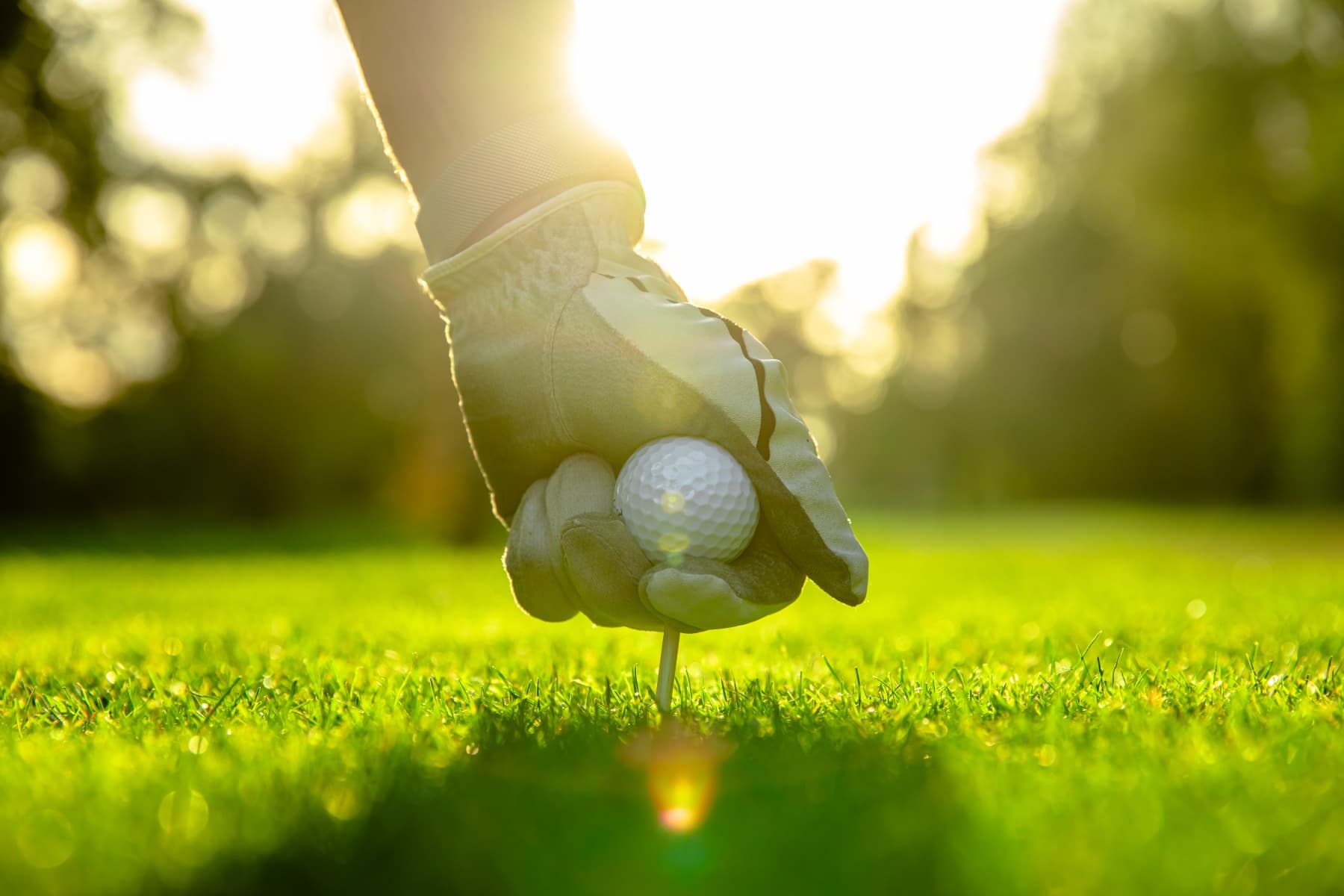 Located on the edge of the George Washington Golf Course