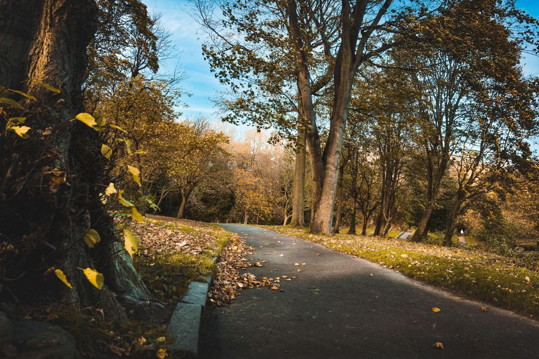 Scenic walks on your doorstep