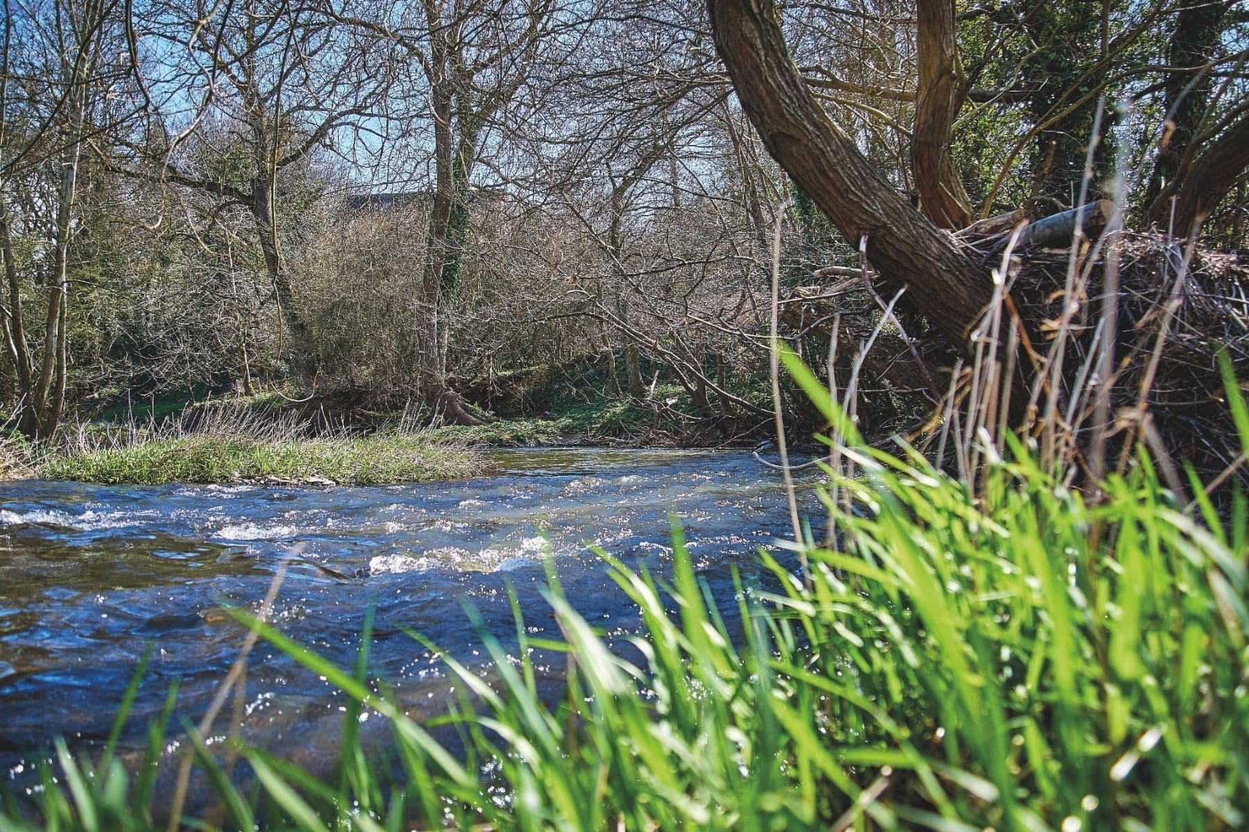 Enjoy scenic walks at The Willows nature reserve