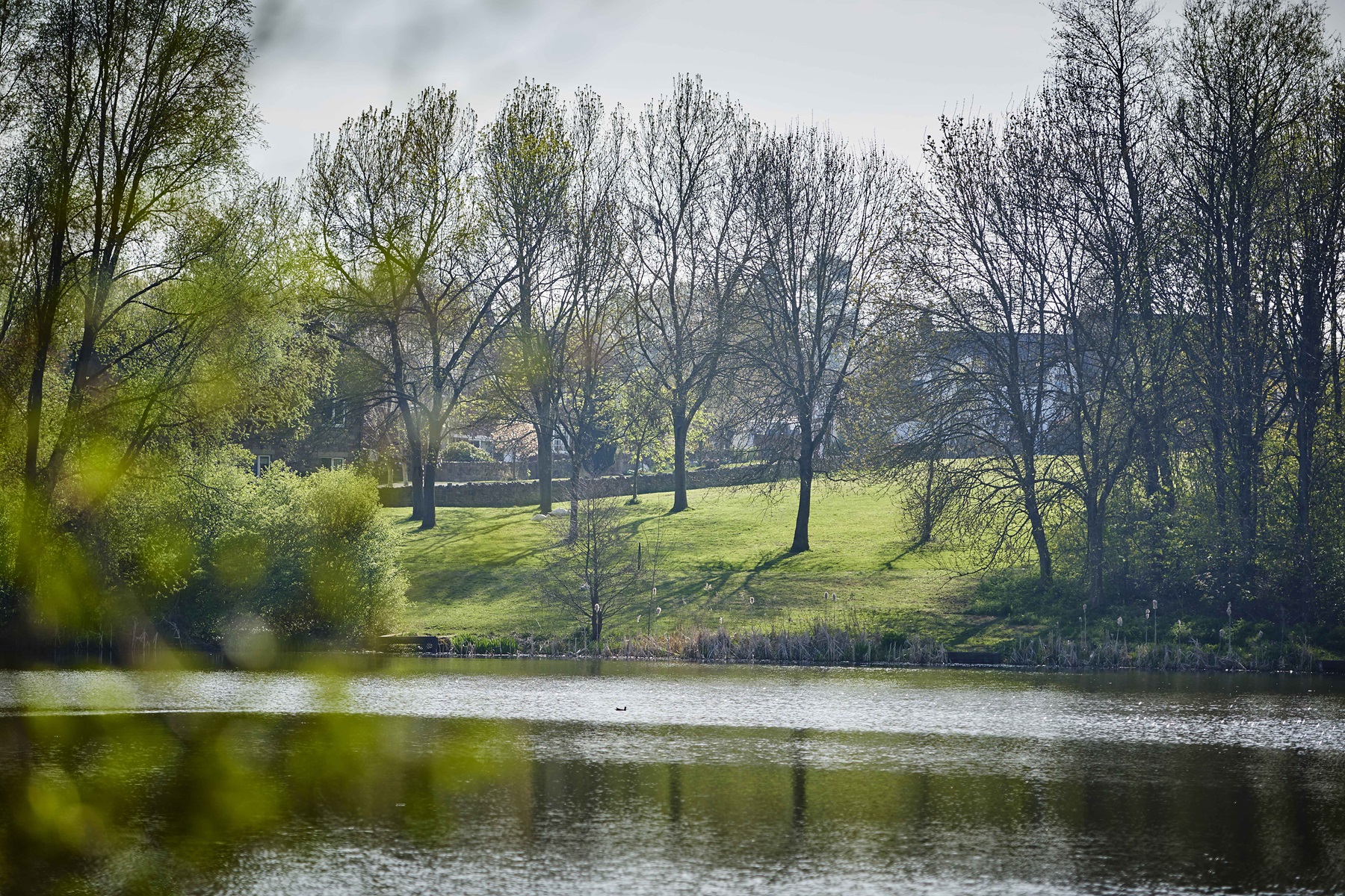 Beautiful country walks surround Hayford Grange