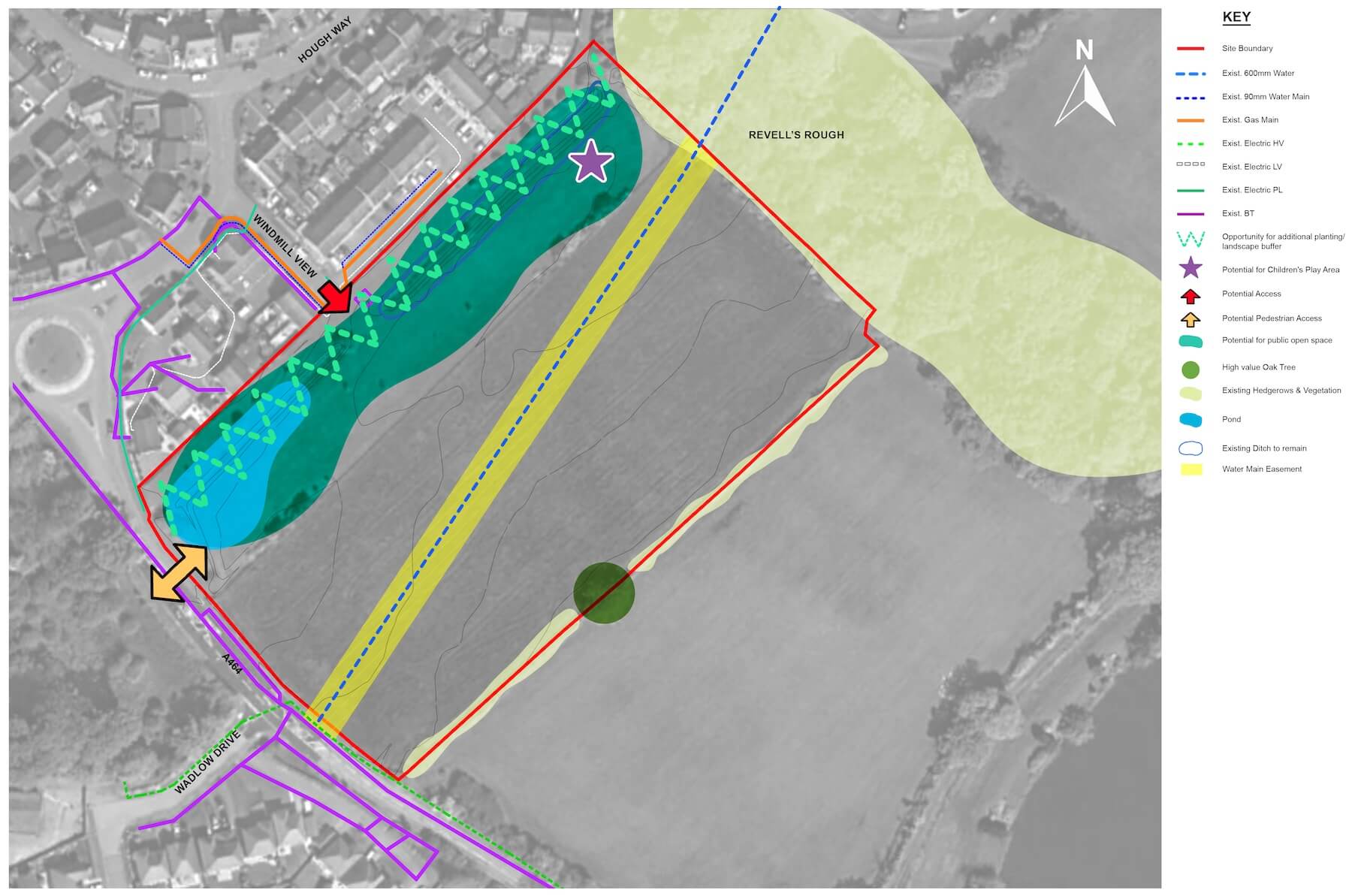 Acorn Green_ecology image