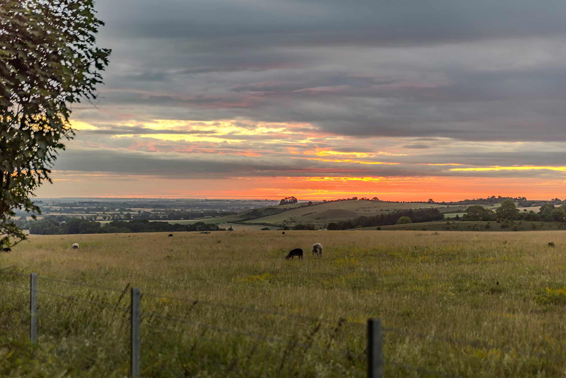 Countryside views
