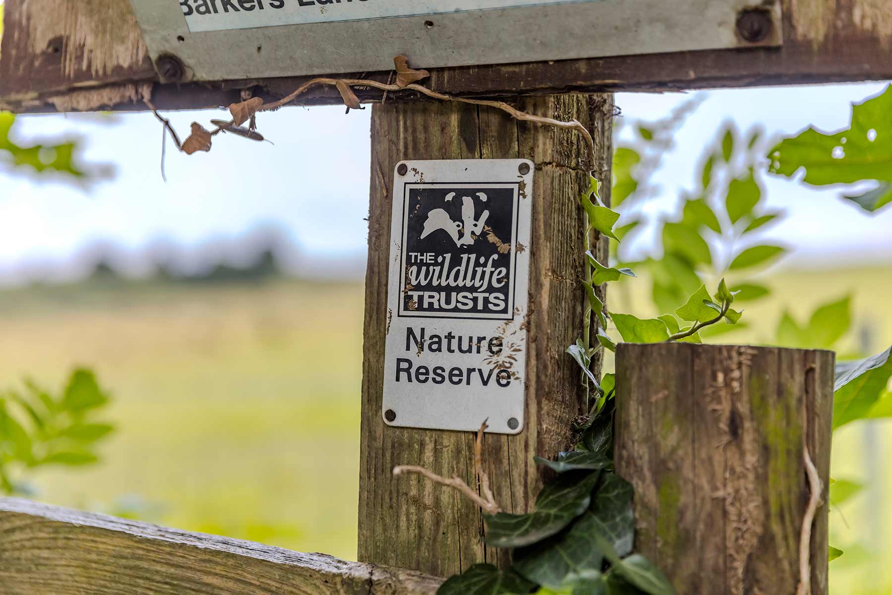 Wildlife trust