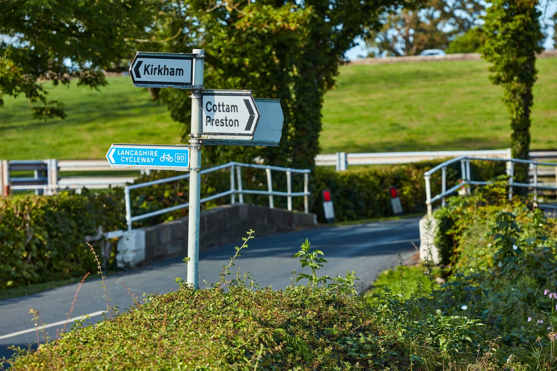 Street signs 