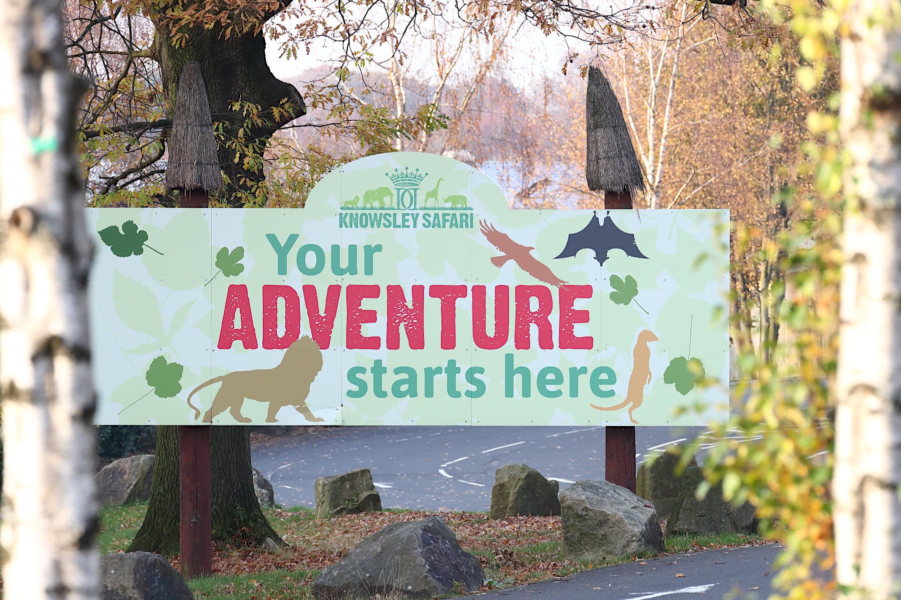 Knowsley Safari park