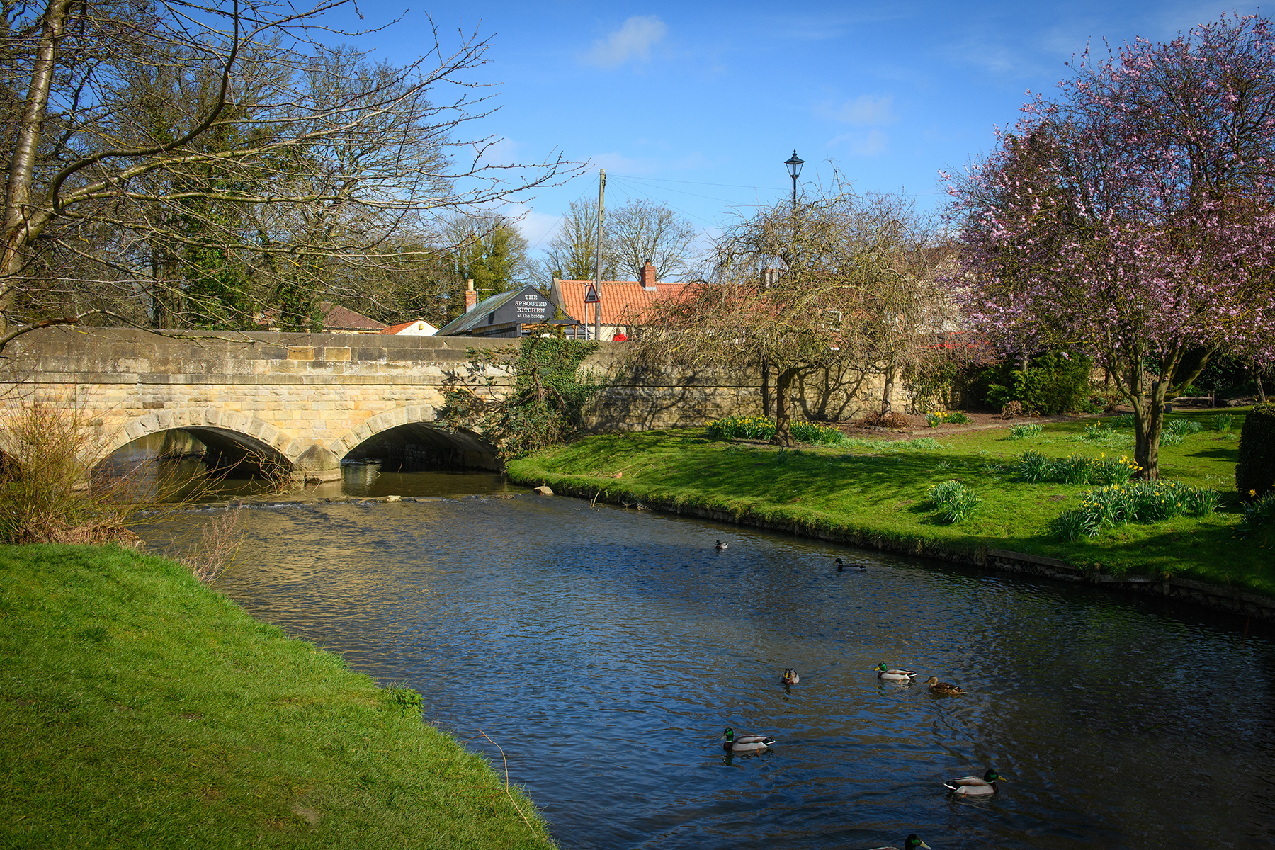 040 TWNY_Bedale_LocalArea