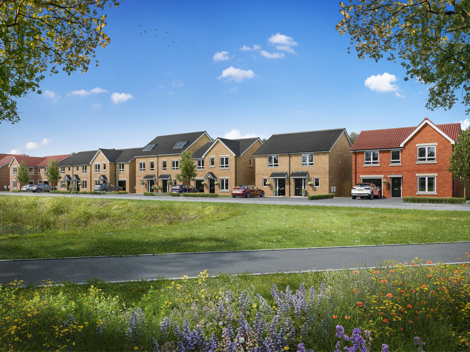 Welcome to Elmwood Grange
