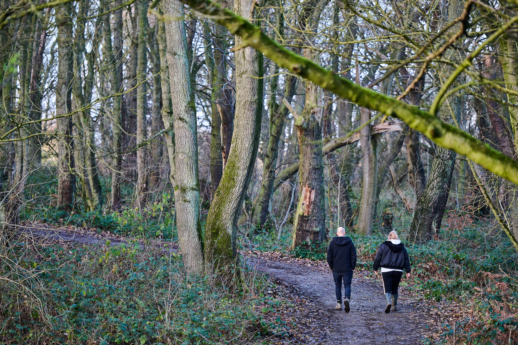 walks in country park